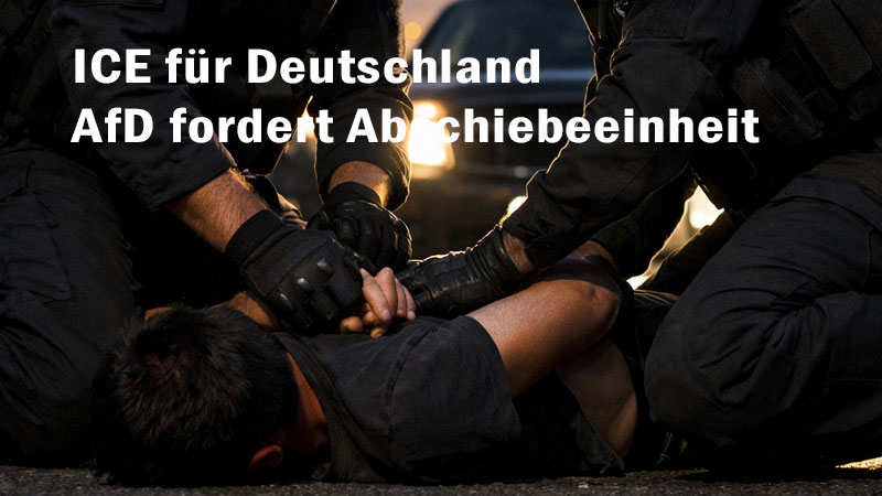 AfD fordert ICE für Deutschland