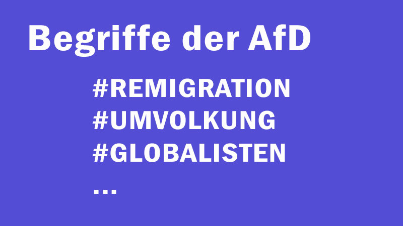 #Remigration #Umvolkung #Altparteien – Die Codes der AfD