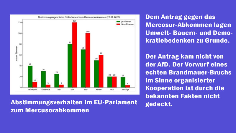 „Stimmenüberschneidung statt Schulterschluss: Was hinter dem Mercosur‑Nein von Grünen, Linken und AfD wirklich steckt“